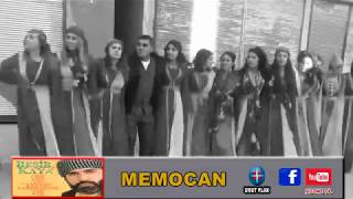 Beşir Kaya - Memocan