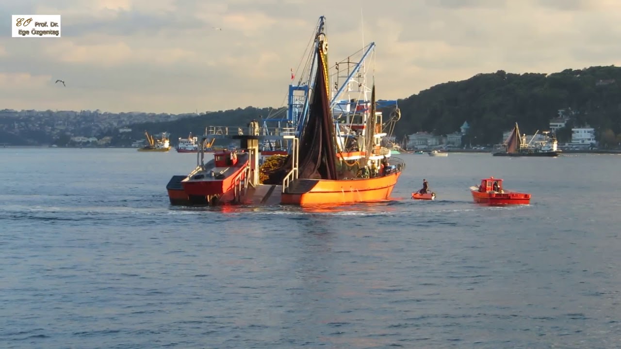 Boğaz'da avlanan balıkçı tekneleri. Fishermen in Bosphorus.