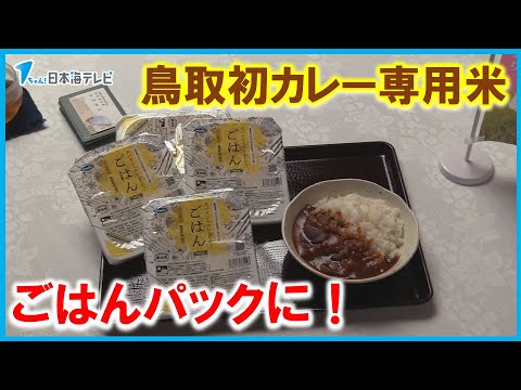 【カレー専用米】「プリンセスかおり」がパックご飯に！　関係者が完成報告　鳥取県