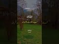 📖 Beautiful Quran Recitation | Heart Touching Tilawat | Holy Quran Recitation#viralshorts