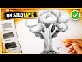 Dibuja un ÁRBOL solo con 1 Lápiz - Dibujemos juntos 
