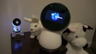 Jibo Flashback - The Whole News