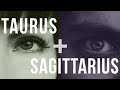 Taurus & Sagittarius: Love Compatibility