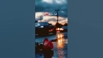 شريف مصطفى سورة طه قولـيارب 