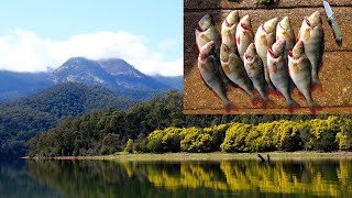 Redfin Fishing: Fishing For Big Perch In Winter