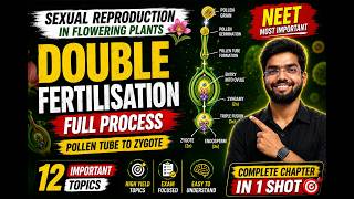 Class 12 L-8 Biology | Double Fertilisation Full Process 🌸 | Pollen Tube to Zygote🔥 | NEET 2027