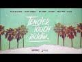Tender Touch Riddim Mix (Ft. Patrice Roberts, Nailah Blackman, Hey Choppi, Olatunji, Melly x Skales