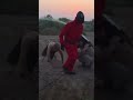 لاكاسا ينقذ علاوي القروي ومحسن من بويكا لاتنسون لايك اشتراك القروي علاوي المغامر محسن 