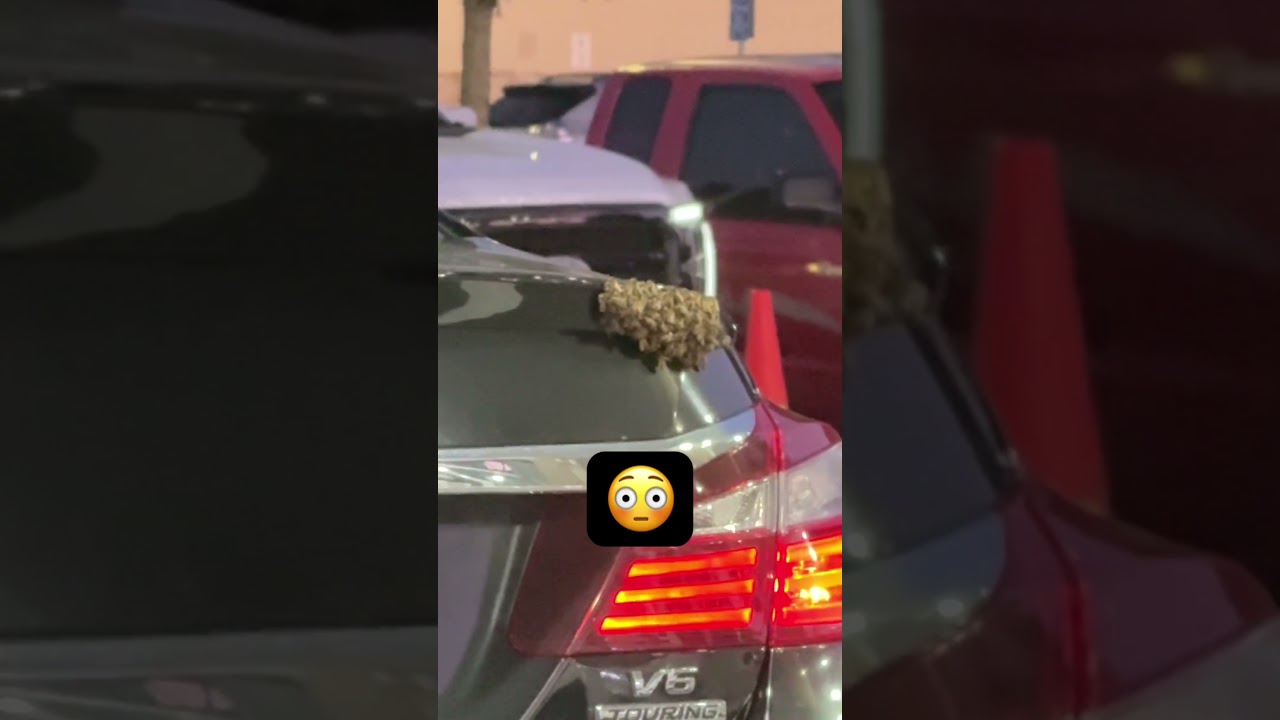 What did I just run into?