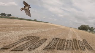 The Hunted - FPV Freestyle with FalcoX
