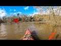 FLOODED FOREST EXPLORATION AND LIGHT FISHING CAMP! | RIVERSIDE [S2] Épisode 5