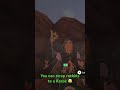 Korok + rockets 🚀 = success 😎 #zeldatearsofthekingdom #korok #shorts #switch #zelda