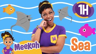 Meekah's Animal Friends |  Blippi and Meekah Educational Videos For Kids by Moonbug Kids - Celebrating Diversity 48,942 views 1 month ago 1 hour, 1 minute