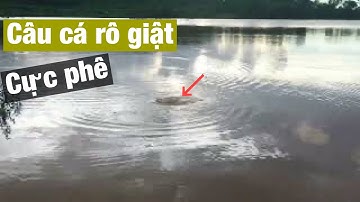 Câu cá rô đập 48