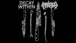 Decay Within - Split w/ CHIKARA {2018}