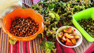 видео: Как се прави домашен лешников тахан картинка: Как се прави домашен лешников тахан