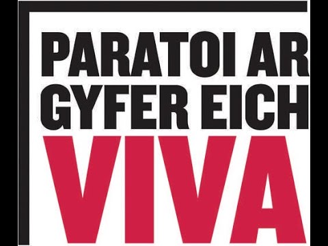 Cyngor i&rsquo;ch helpu i Baratoi ar gyfer eich Viva