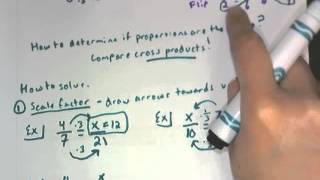 Intro to Proportions