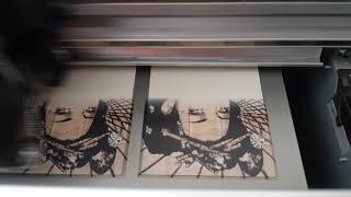 Skyscreen introduces Azon Leather Grande - a digital DTS printer for printing on leather products.