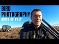 BIRD | WILDLIFE PHOTOGRAPHY | HOW TO | PHOTOGRAPHING FALCONS & RAPTORS from my Tragopan V6 Hide