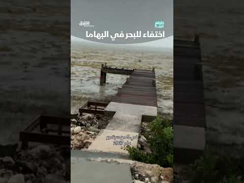 اختفاء البحر: ظاهرة غريبة قبالة سواحل لونغ آيلاند