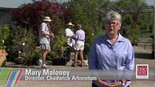 Full Chadwick Arboretum and Learning Gardens Plant Sale News
