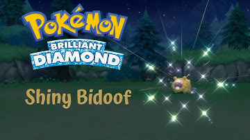 Shiny Bidoof After 5874 Random Encounters | Pokémon Brilliant Diamond
