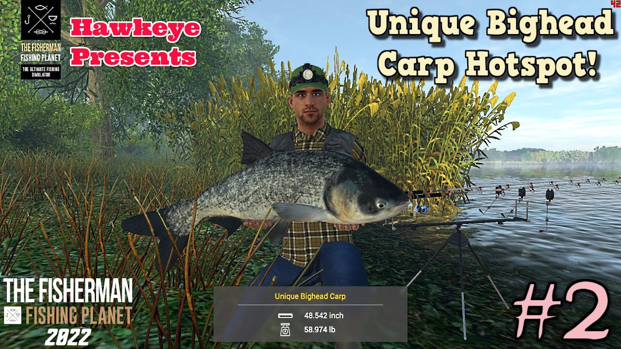 The Fisherman - Fishing Planet - 2022: UNIQUE Bighead Carp Hotspot! 