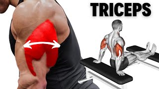 Effective Triceps Workout at Gym to Build Bigger Triceps