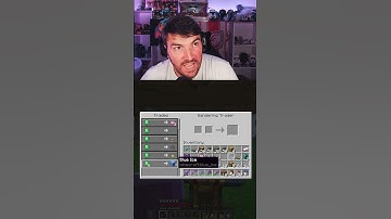 I FINALLY got a Wandering Trader after 100DAYS of hardcore minecraft