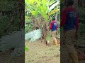 Bukan hutan #13
