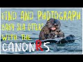 Find and Photograph Alaska's Baby Sea Otters with the Canon R5 - Homer, Alaska
