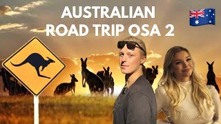 OSA2 AUSTRALIAN ROAD TRIP - KENGURUITA JA MERILEIJONIA