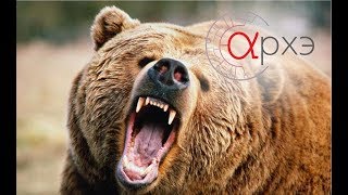 Михаил Кречмар: "Самооборона от медведя и других опасных хищников при помощи оружия"