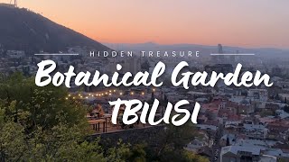 Скрытый рай: Тбилисский ботанический сад - жемчужина Грузии
