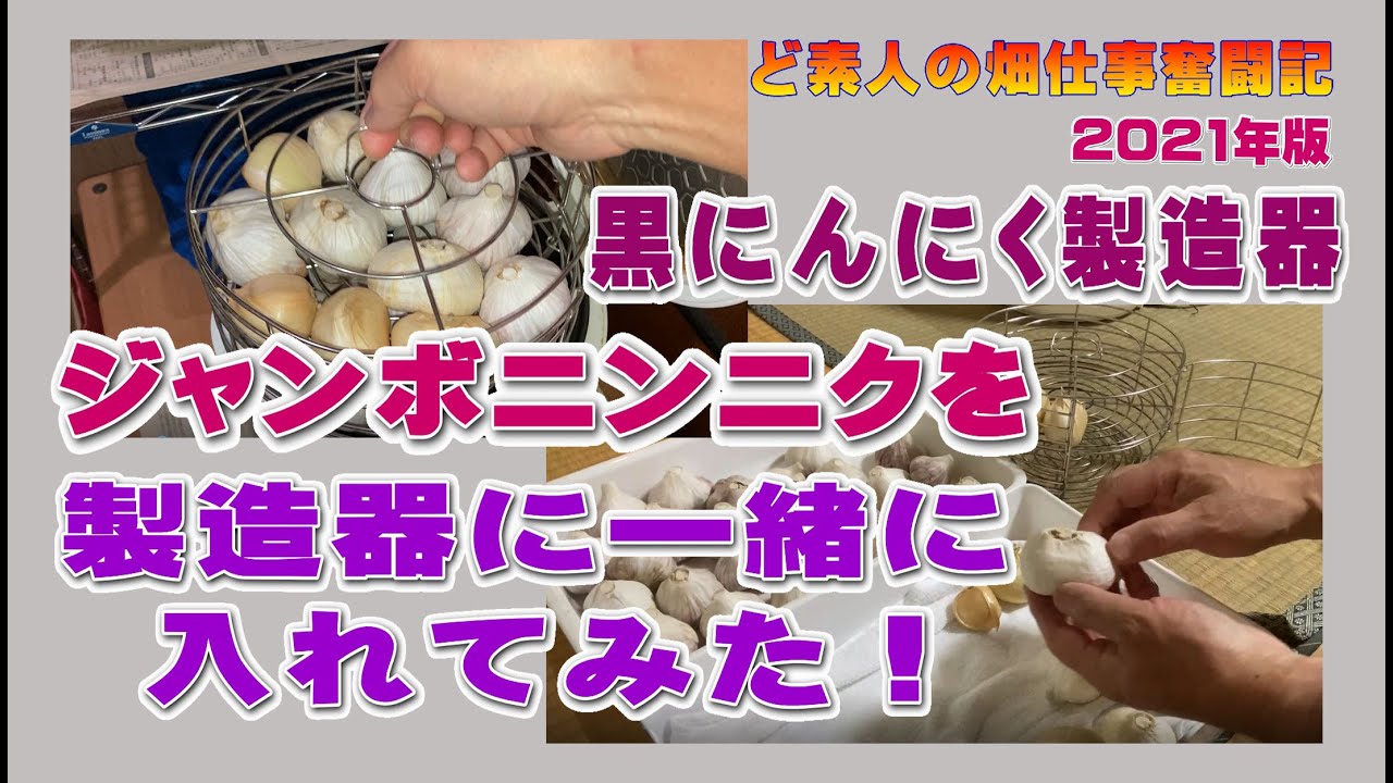 I Tried Making Black Garlic in a Fermenter Using Jumbo Garlic