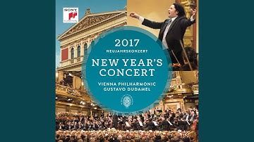 An der schönen blauen Donau, Walzer, Op. 314