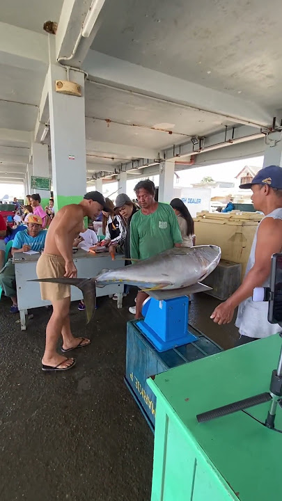 May nag kamada namaman ng tuna #trending #fishing #tunafishing #fish #tunafish #shortvideo