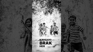 Şenay Sev Kardeşim