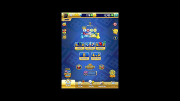 Hide and seek: cat Escape! Live steam