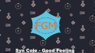 Syn Cole - Feel Good