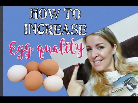 Natural Ways To Ovulate Multiple Eggs Natural Ways To Ovulate Multiple Eggs
