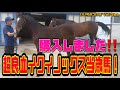 【競馬・馬主】購入しました‼️超良血イクイノックス当歳馬❗️（Vol.266）