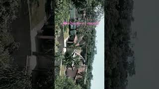 7 De Dezembro De 2025