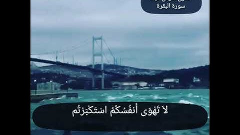 حالات واتس أب دينية بصوت القارى فارس عباد سورة البقرة