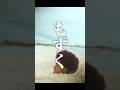 【短編映画(縦型)】海にいる伝説の生き物