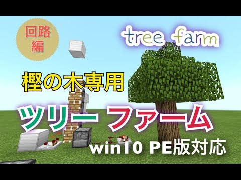 【簡単低コスト】樫の木専用ツリーファーム回路編　マイクラ統合版