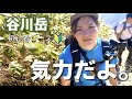 【谷川岳】初級者向け「天神尾根コース」で2つの耳を目指し、山で誕生日サプライズしてみた。