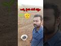 ఒక రైతు పడే కష్టం, #kadapaanjivlogs #shortvideo