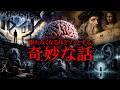 【睡眠用】あなたの知らない奇妙な話【たっくーTV/作業用】